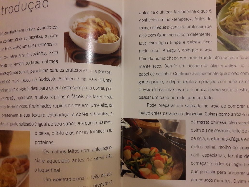 Wok e Salteados - mais de 100 receitas