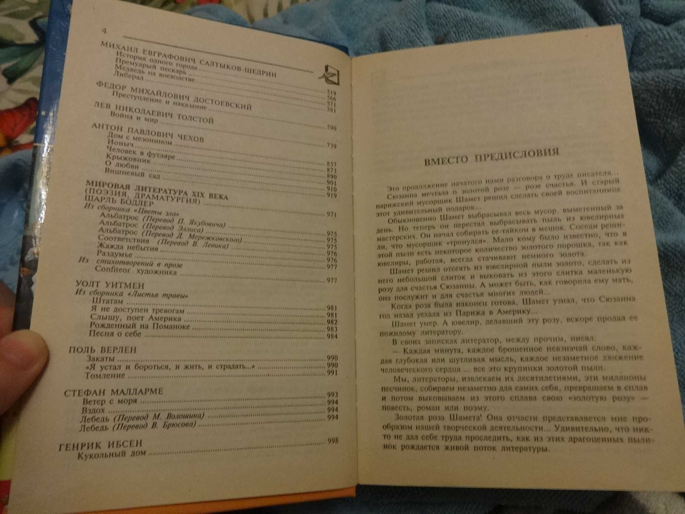 Мировая литература 19 века. Русская литер. втор. пол. 19 века.