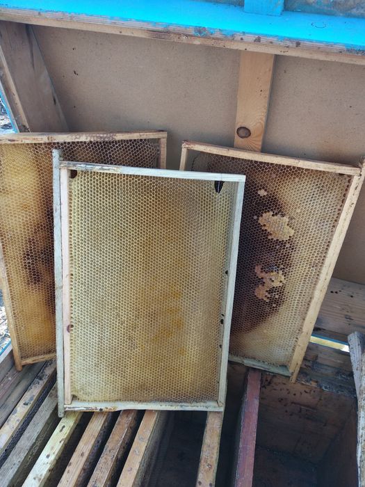 Продам суш, бджоли