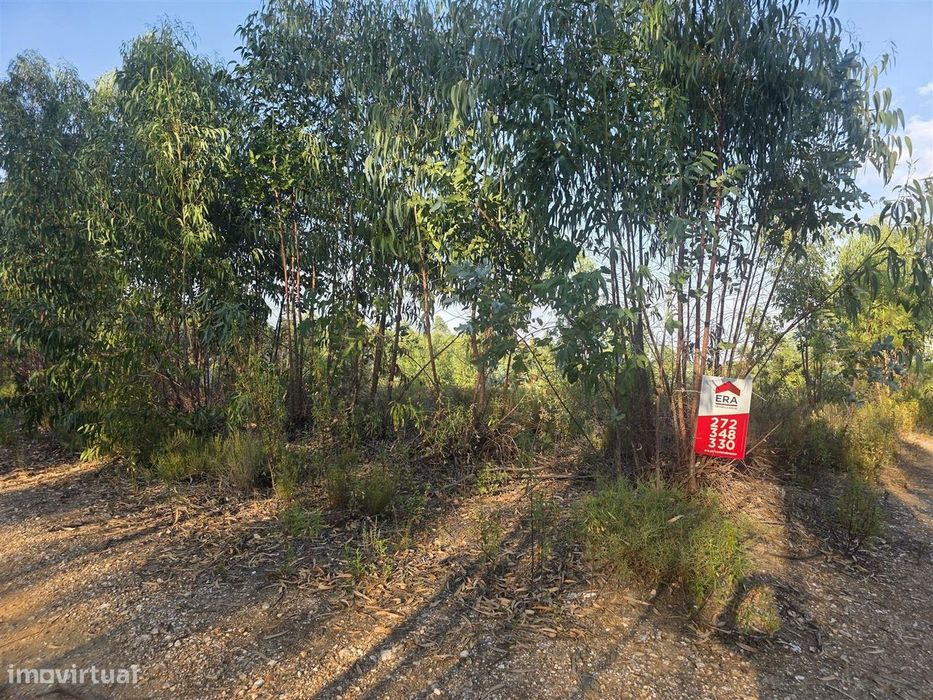 Terreno Rústico