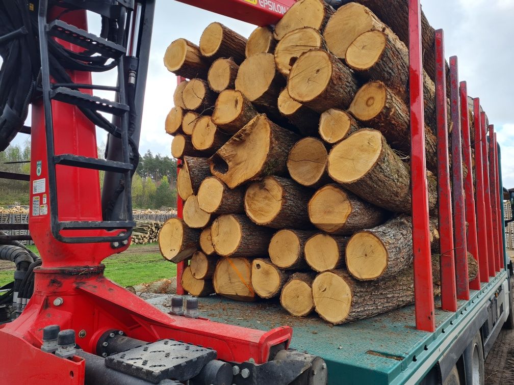 Kłoda dębowa Dąb S2B 250cm średnica 20cm i więcej