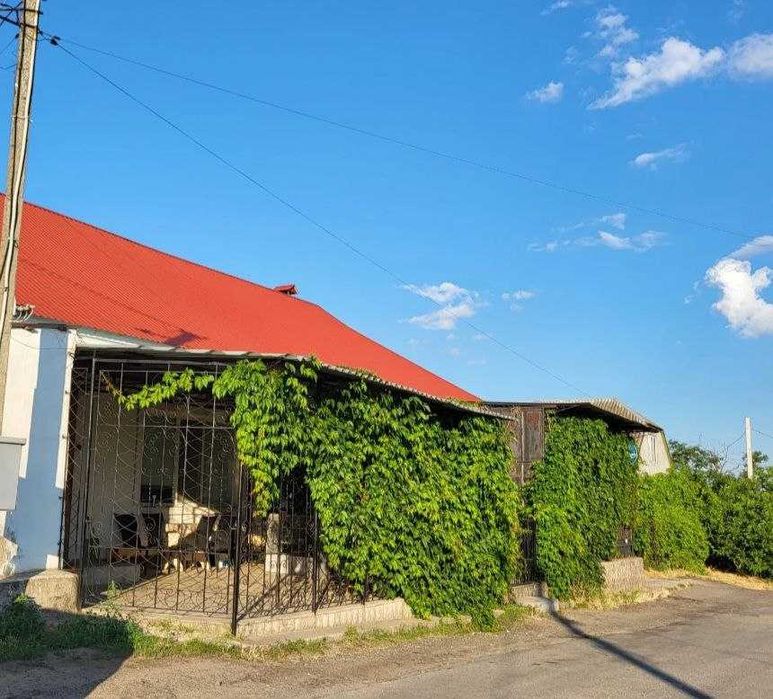 Продам готовый бизнес и дом в Терновке от хозяина