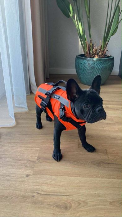 Kamizelka ratunkowa dla psa (kapok) do pływania