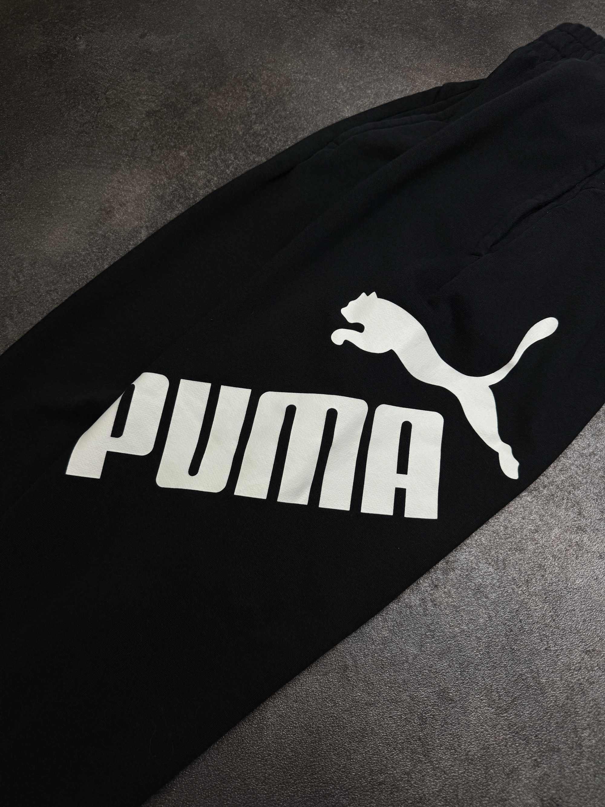 Dresy męskie Puma spodnie dresowe