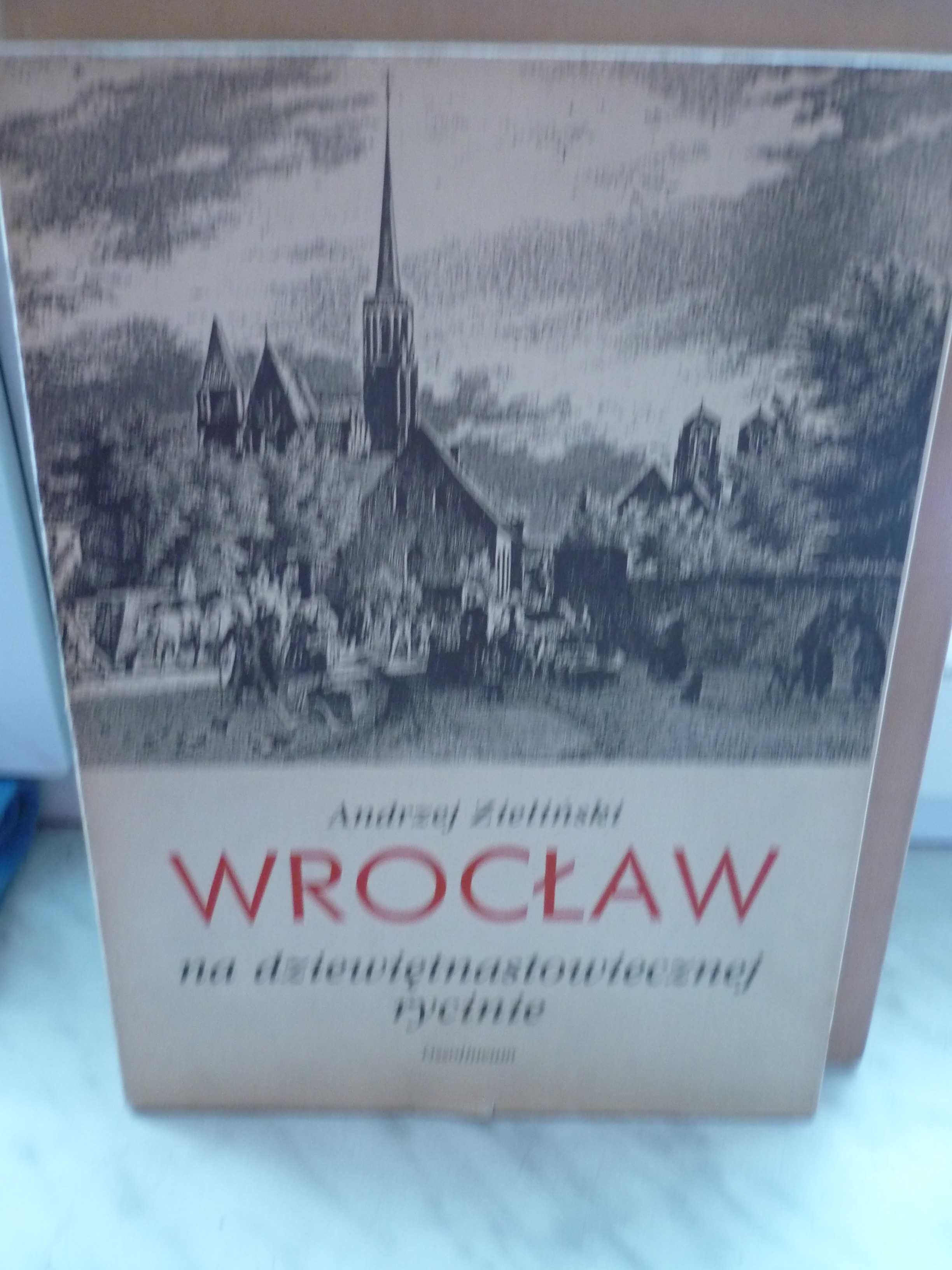 Wrocław na dziewiętnastowiecznej rycinie , Andrzej Zieliński.