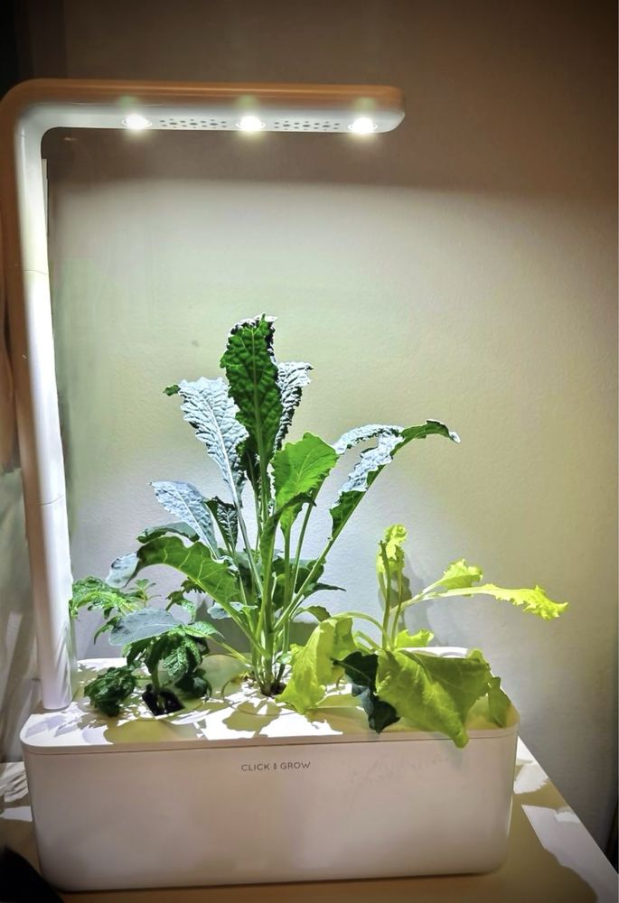 Inteligentna doniczka Smart Garden 3 Click&Grow biała
