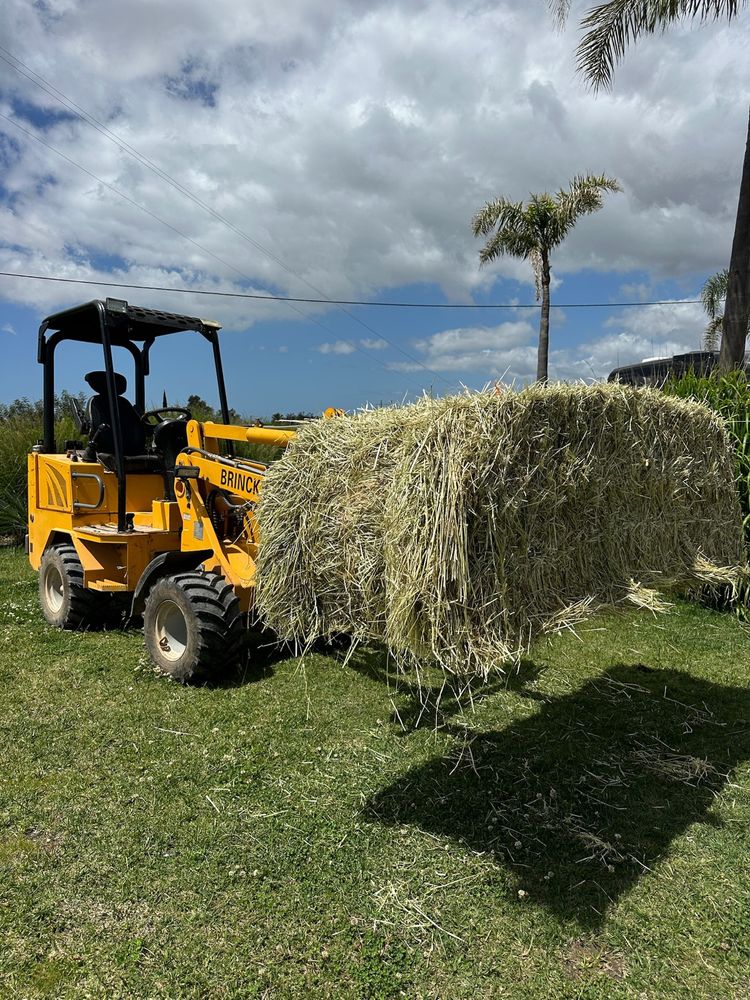 Feno de Azevém de 300 kg de Qualidade Superior