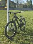 Dartmoor Hornet 2022