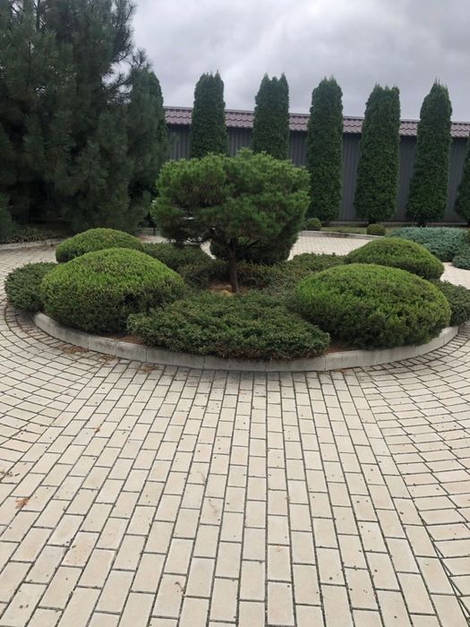 Послуги садівника, озеленення территорії