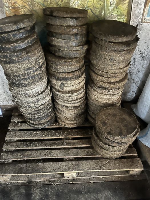 Макуха соняшникова.