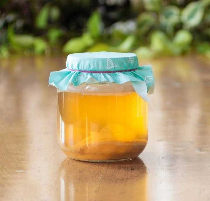 Grzybek Herbaciany 2szt Grzyb Kombucha Scoby 7cm Kombucza Starter