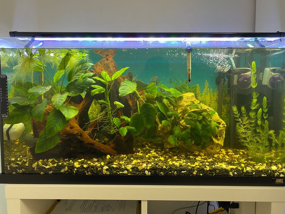 Світильник PetWorx МультиСпектум WXL 90