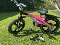 Rowerek dziecięcy eurobaby winner T201 kola 16”