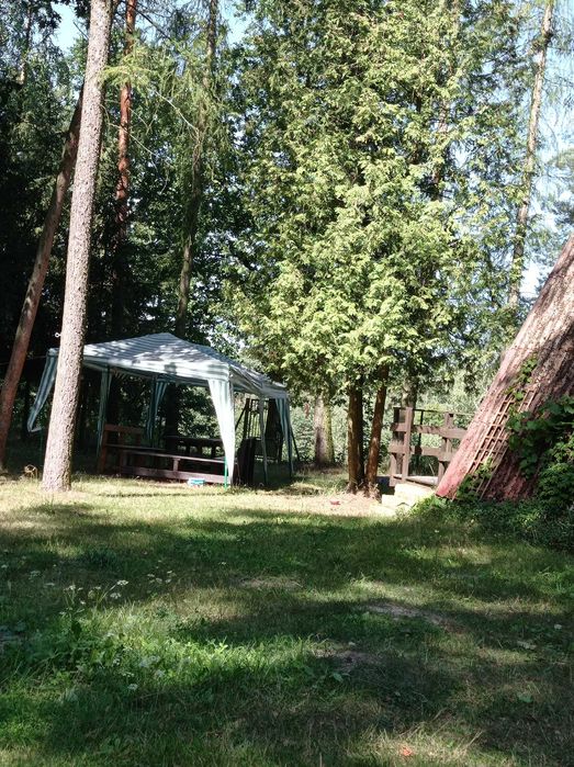 Działka rekreacyjna nad Wkrą