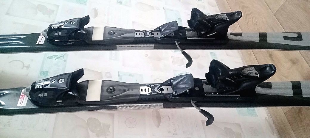 Лыжи горные DYNAMIC 170 см + палки Technopro 125 см