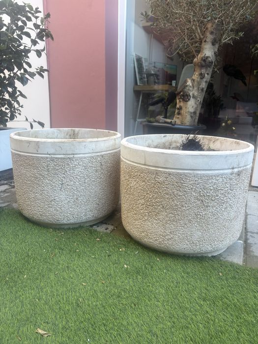 Dois vasos 60cm com substrato