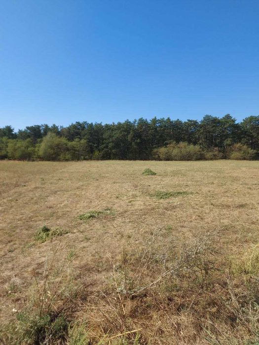 ЗЕМЕЛЬНА ДІЛЯНКА 20 соток під забудову біля хвойного Лісу