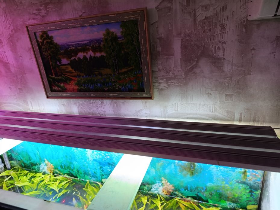 Акваріум 450 літрів повний комплект.