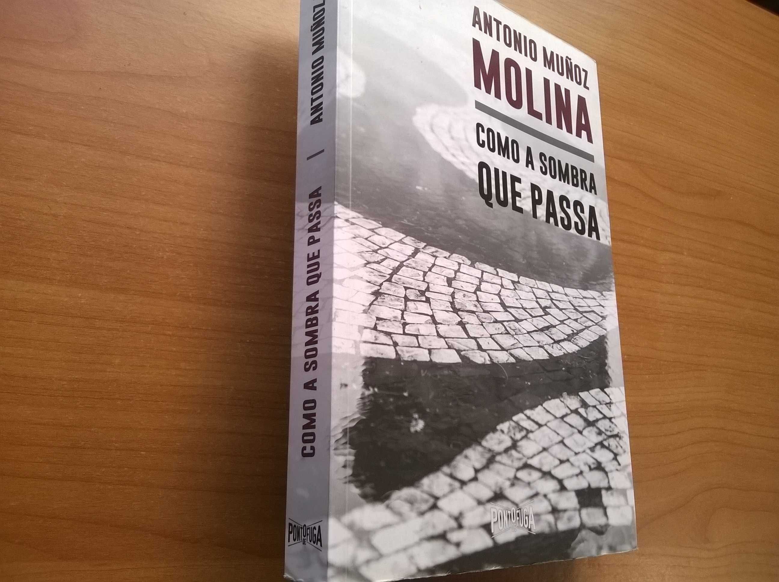 Como a Sombra que Passa - Antonio Muñoz Molina