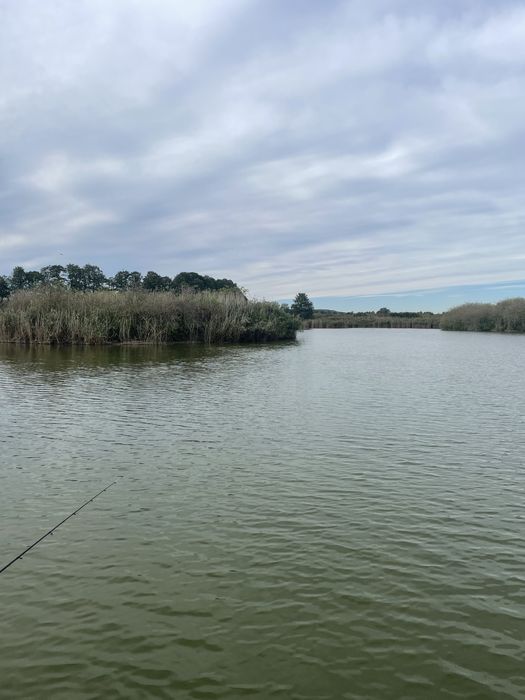 Stawy Hodowlane 50 ha - ogrodzone