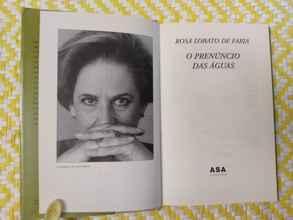 O prenúncio das águas – 1ª Edição
Rosa Lobato de Faria