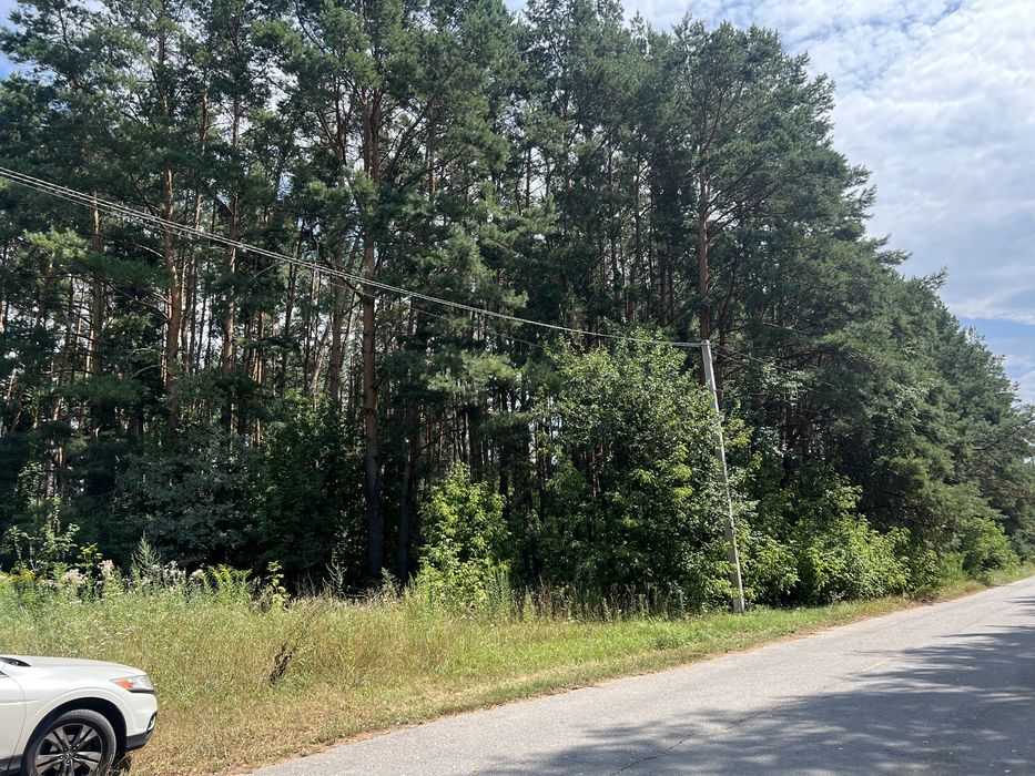 1га соснового лісу під буд-во с.Хлепча
