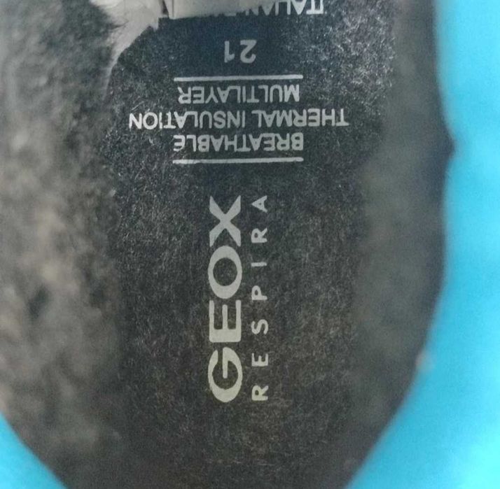 Чоботи Geox 21p.