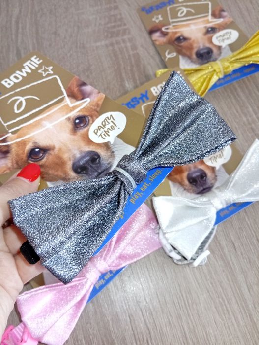 Mucha z obrożą dla psa / kokardka dla psa + obroża