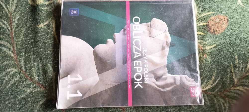 Język polski oblicza epok 1.1