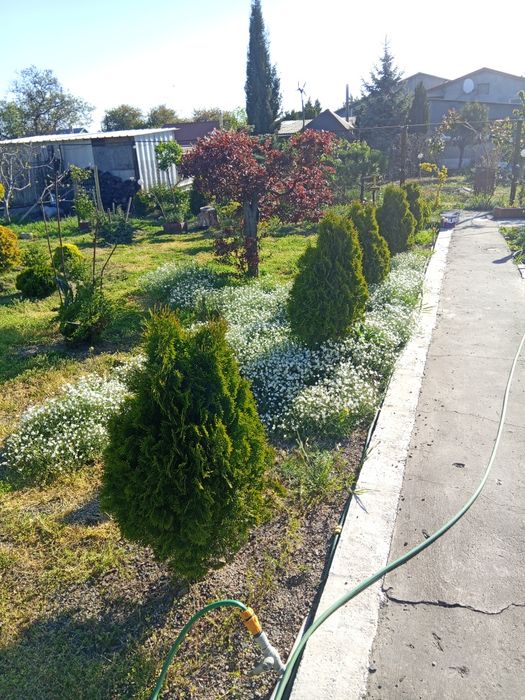 Сдам дом в Фонтанка 3