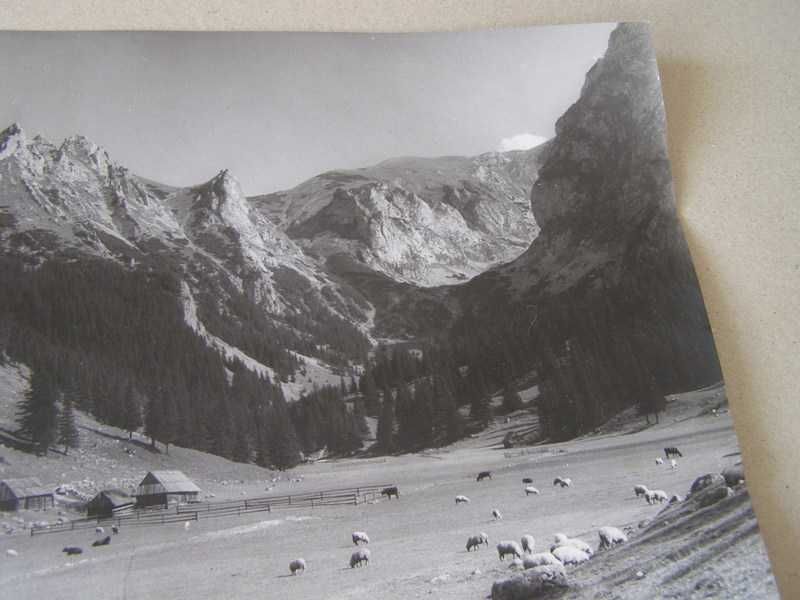 Tatry - Polana Małołącka - foto St. Burnatowicz , sygn.