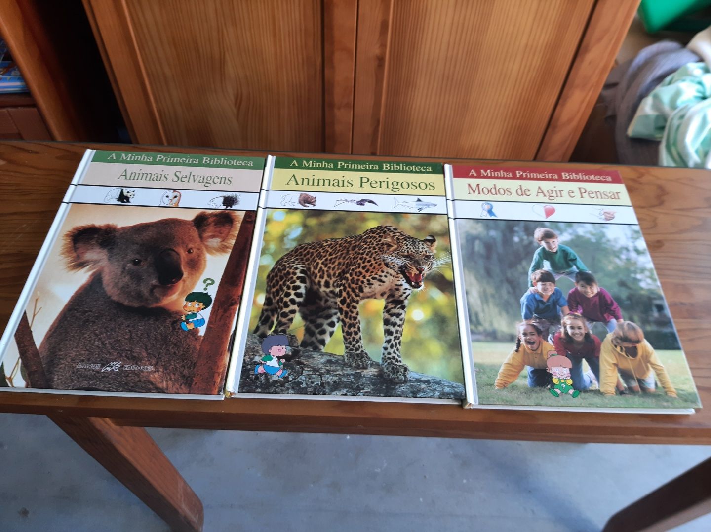 Colecção livros biblioteca