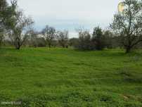 Lote de 2 terrenos com 8560 m2