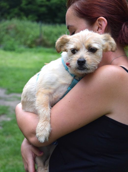 Malutka, delikatna, cudna sunia potrzebuje domku