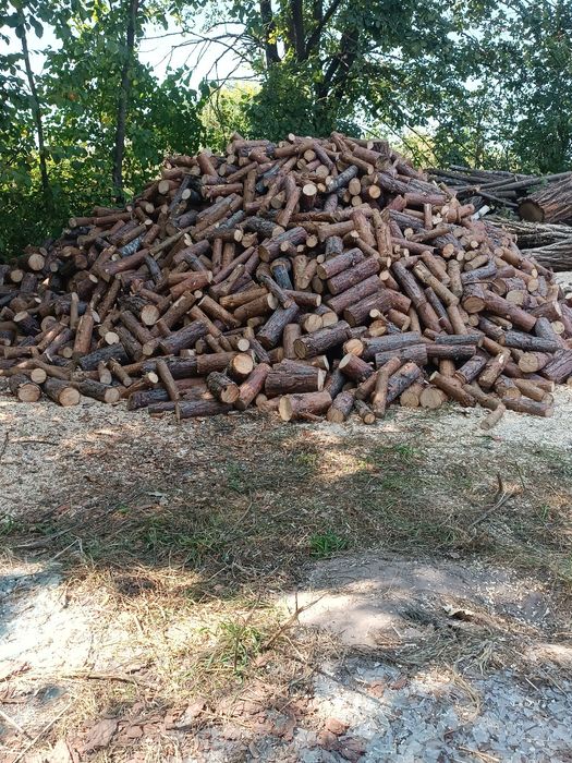 Дрова для отопления(дрова для опалення)Сосна,берза,акація