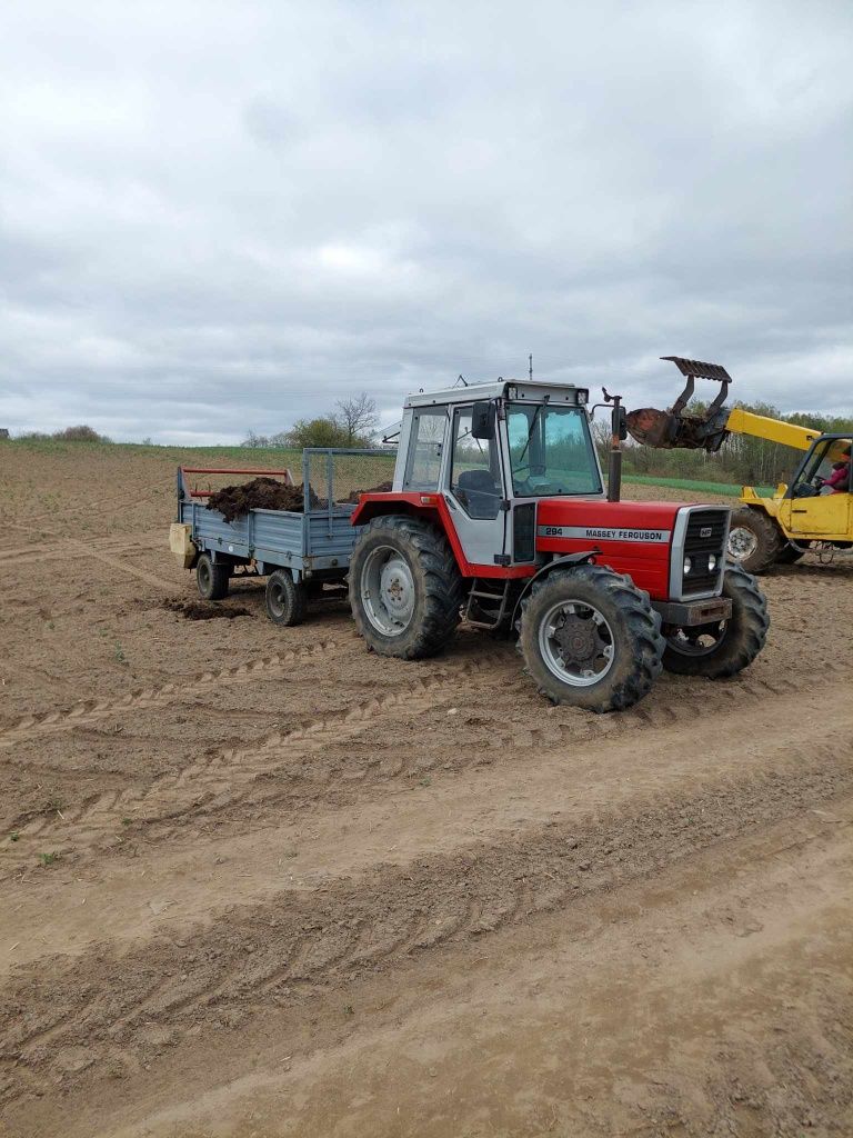 Massey Ferguson 294S