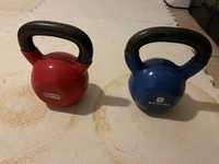 Par Kettlebell 20kg