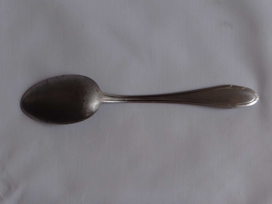 Łyżka stołowa Eickhorn Roneusil