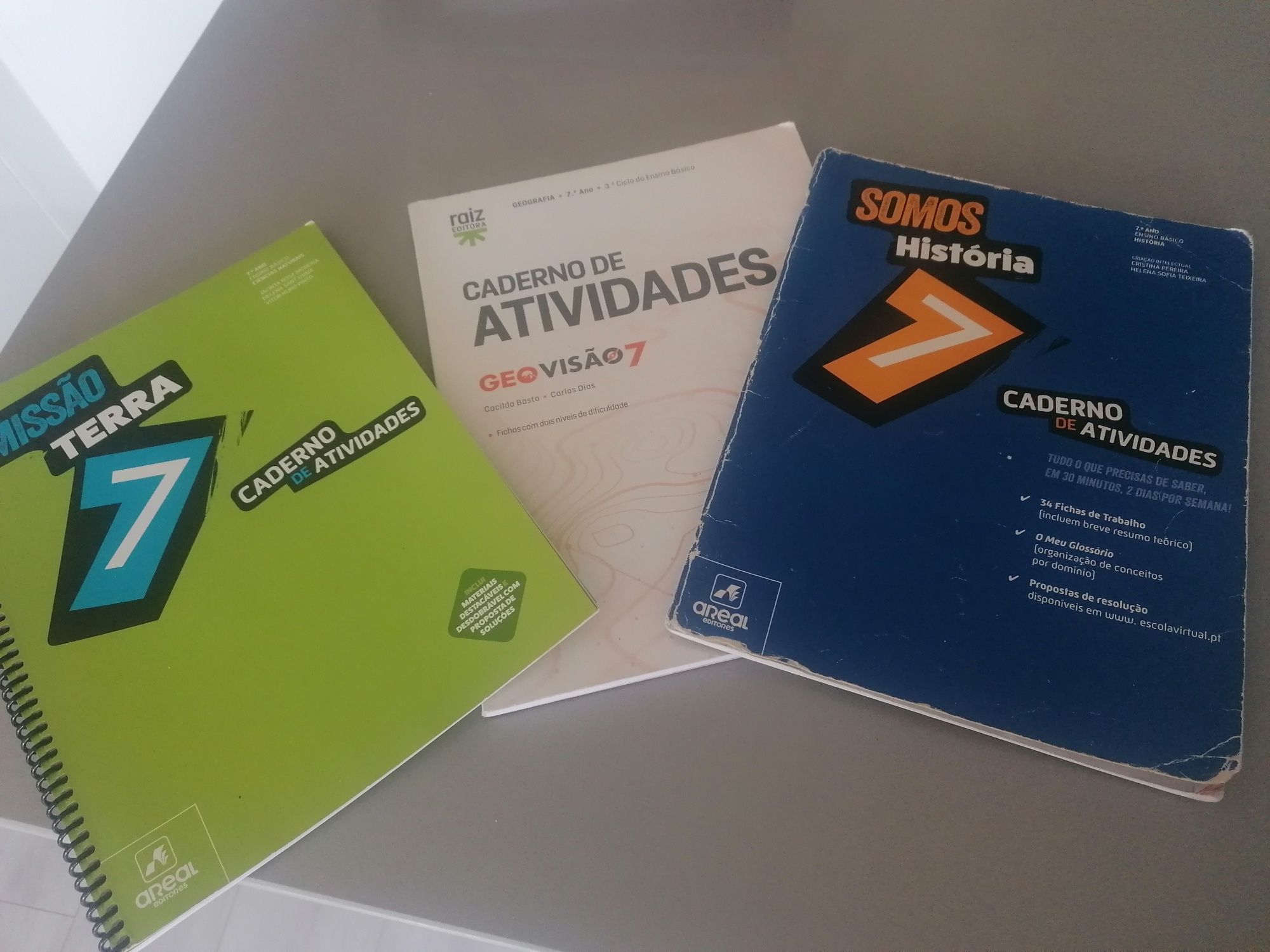 Livros de fichas do 7 ano