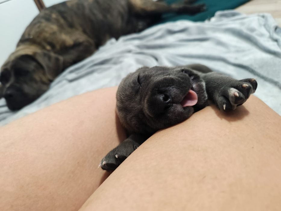 Kraken  gotowy do odbioru