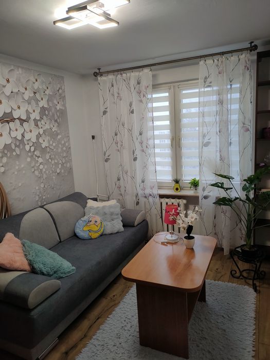 Mieszkanie do wynajęcia, Puławy