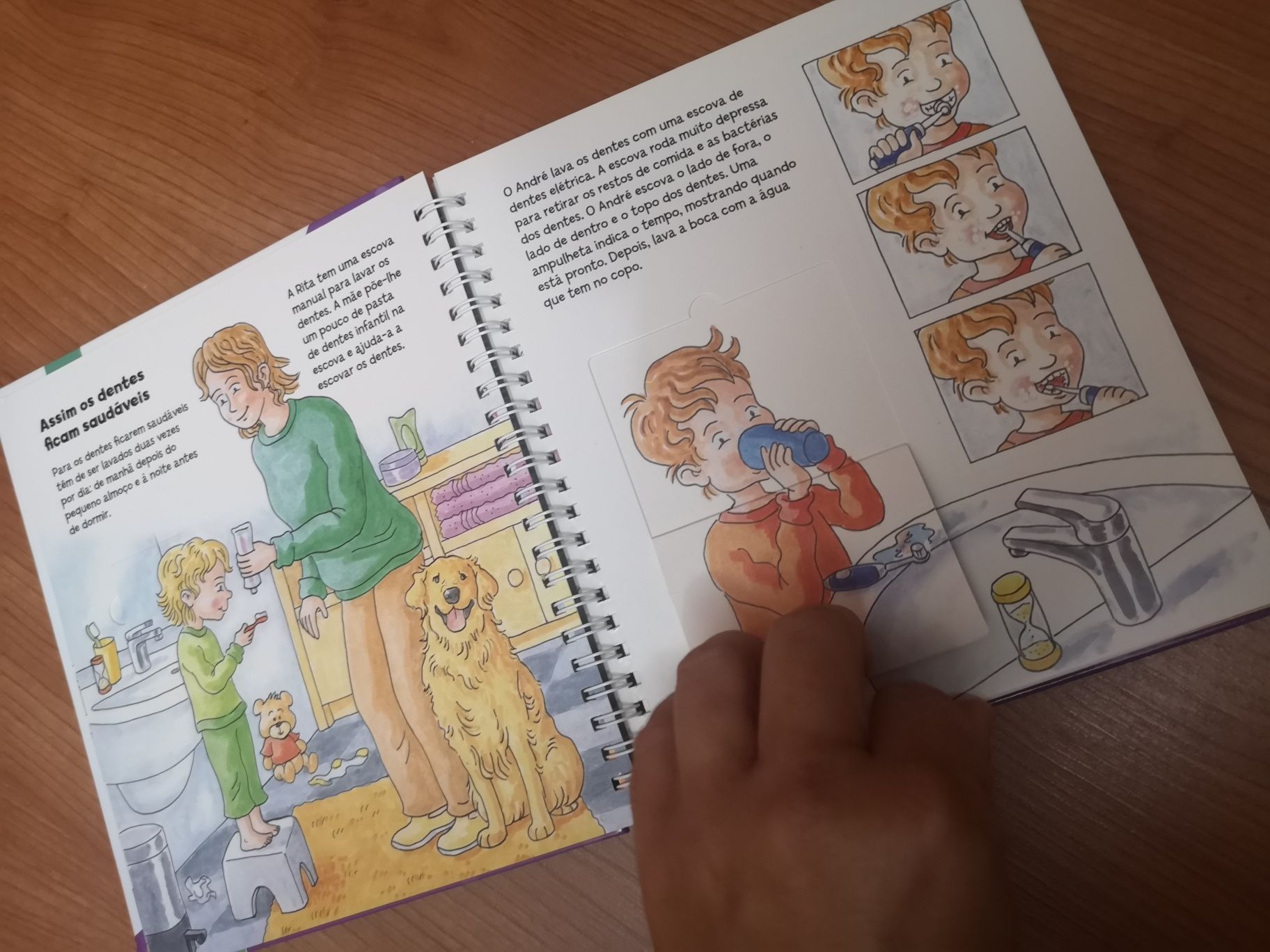 Livro Explica me Como É