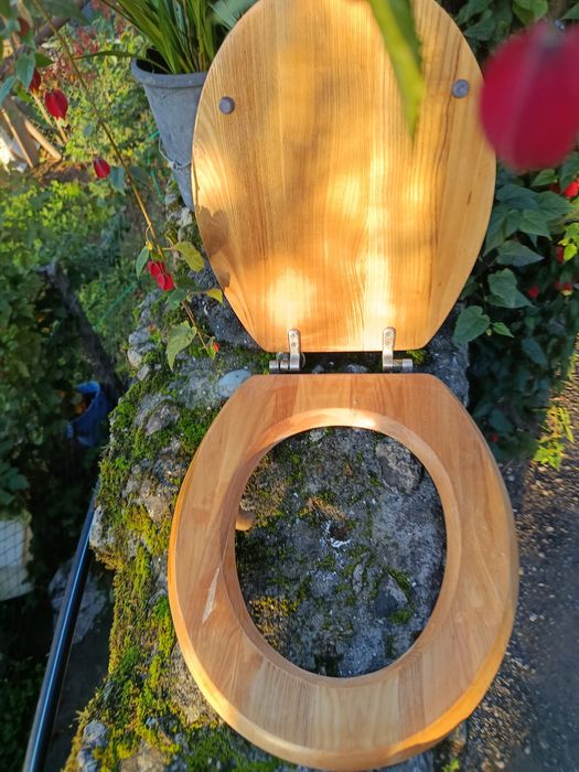 Tampa de sanita de madeira