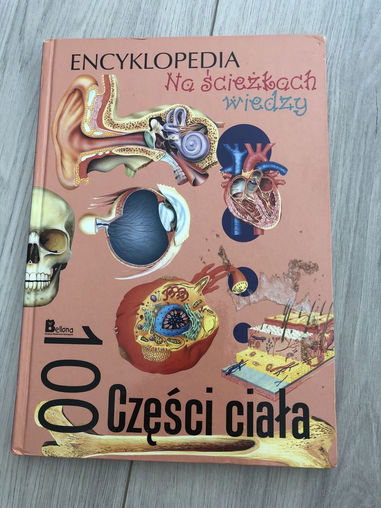 Encyklopedia „Części Ciała”