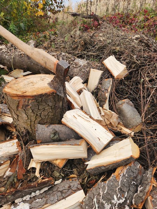 Дрова в мішках або насипом. Доставка.