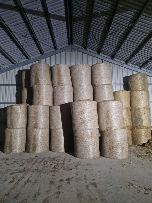 Sprzedam bele słomy