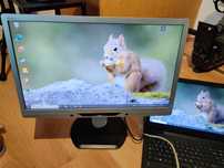 Monitor komputerowy Philips 221P3L