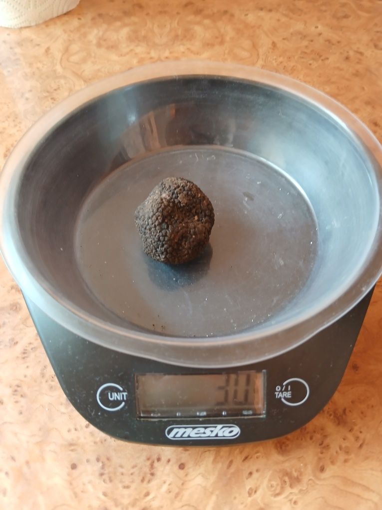 200g Letnich Trufli. - Prosto z Włoch. Tuber Aestivum.