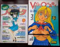 Manga Hentai (2 livros)