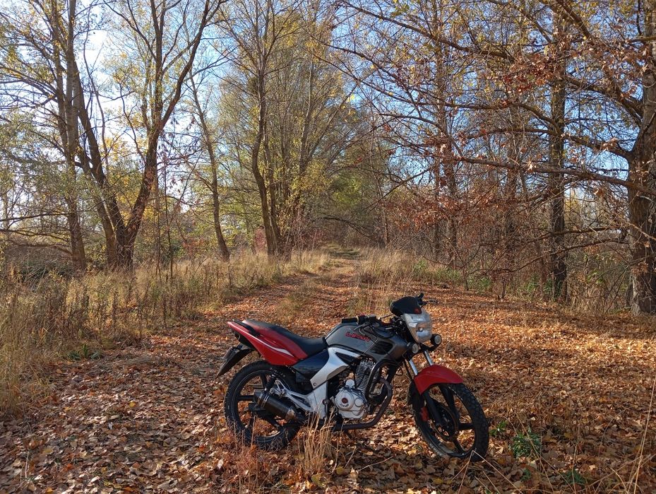 обмен (lifan 200cc)